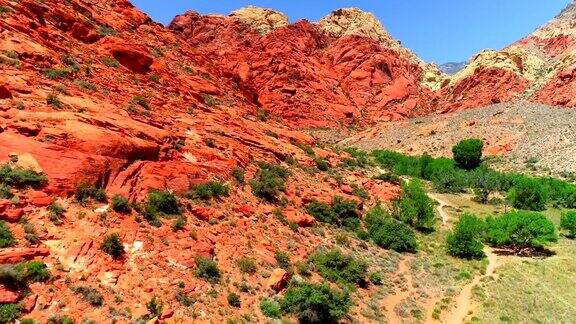 鸟瞰图的史诗森林景观和红色砂岩山