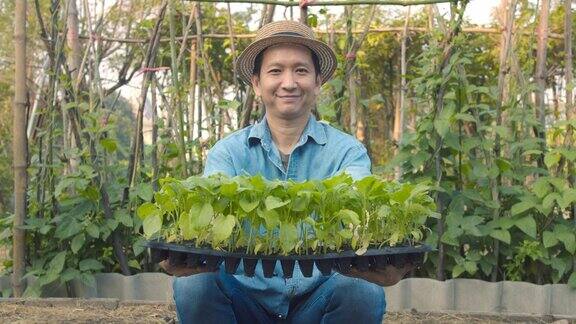 年轻的亚洲男子农田持有番茄幼苗准备种植在蔬菜田的农场