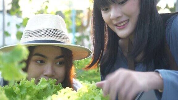 近距离拍摄美丽的女园丁捧着有机农场种植的新鲜蔬菜