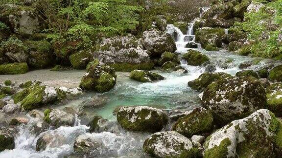 小溪和苔藓的石头在春天的森林