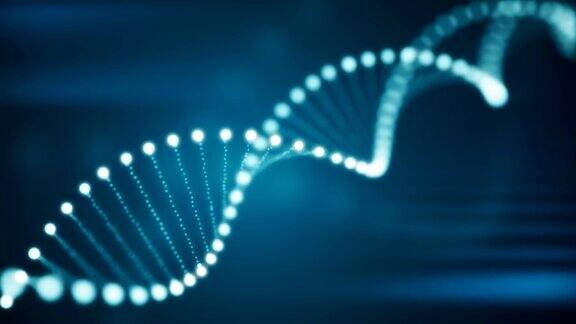 无缝动画旋转DNA发光分子在蓝色背景