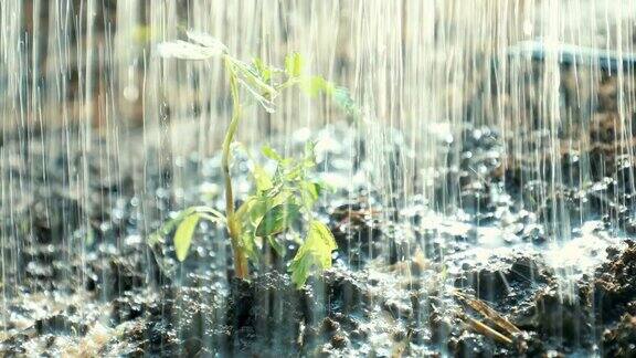 下雨了!