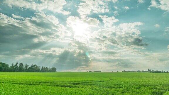 绿色的田野和壮观的天空延时拍摄