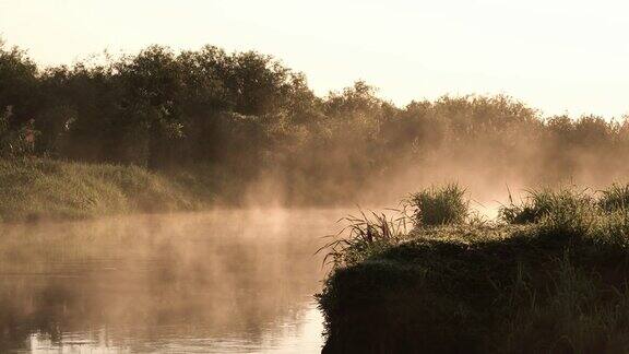 河边雾蒙蒙的早晨
