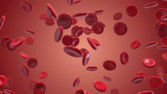 血液细胞在静脉中流动
