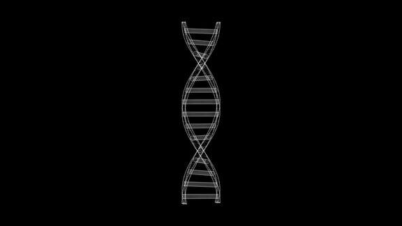旋转3d线框DNA运动图形与纯黑色背景