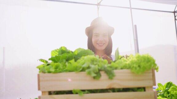 美丽的农民女孩扛着一盒蔬菜绿色沙拉在水培温室农场她移动着车厢微笑着把它放在镜头前农业业务