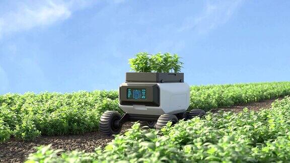 农业机器人工作在智能农场智能农业的耕作概念
