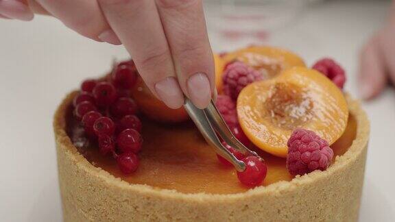 女人的手用杏子、醋栗和树莓装饰起司蛋糕慢动作的烘焙过程