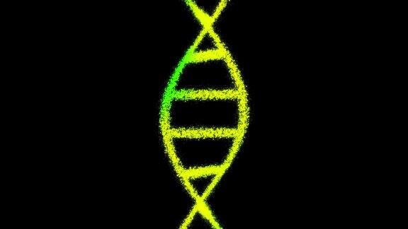 由黑色背景上的粒子组成的DNA二维动画60fps物体是垂直的从下到上的底座拍摄