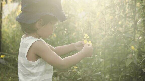 小男孩摘花