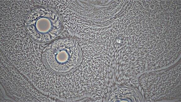 通过显微镜背景看到的人类细胞突变
