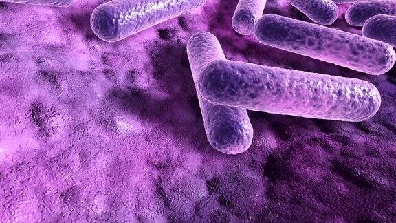 细菌表面3d渲染微观特写动画