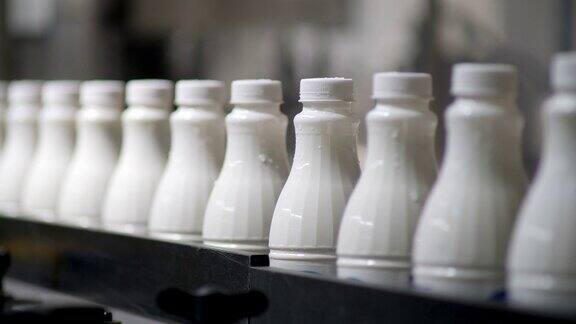 白色塑料奶瓶的镜头在生产线上分类和前进在牛奶公司