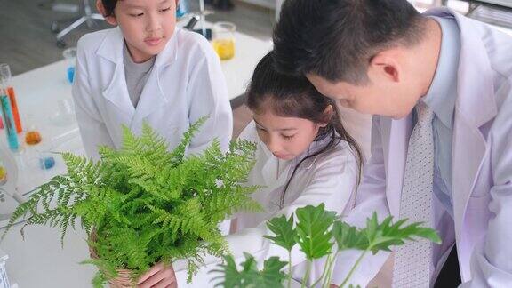 慢动作和近距离的年轻科学家男孩和女孩讨论植物知识