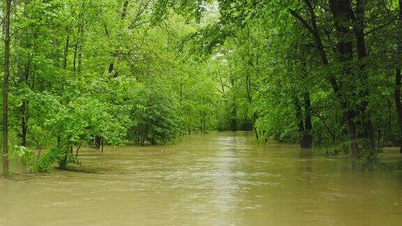 下雨天从空中穿越被洪水淹没的绿色森林