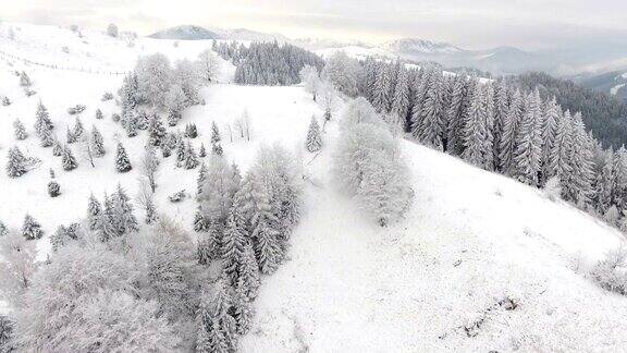 冬天的山农村景观树被雪覆盖着新年快乐冬天的故事