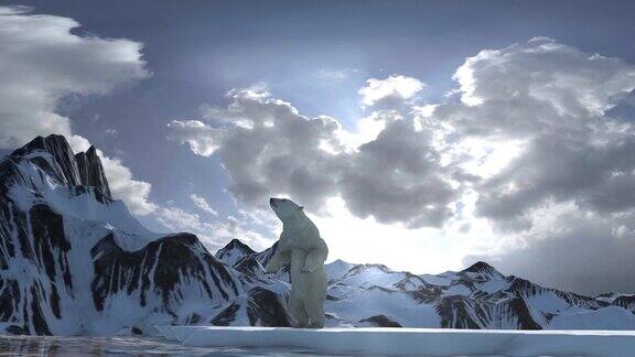 北极熊两腿站立北极观