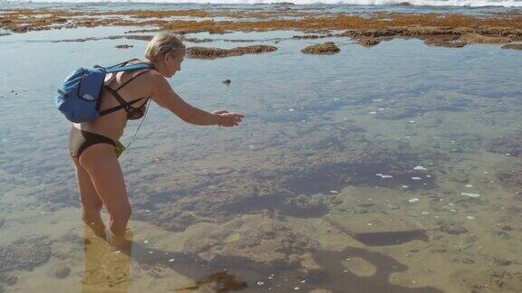 欧洲一名游客短发女子正在海滩上拍摄水中的热带鱼
