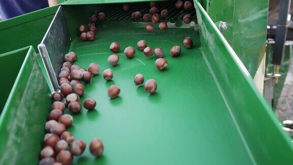 榛子仁壳分离机可专业用于分离坚果壳和种子、仁如杏仁、榛子、核桃慢动作