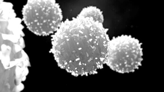 细胞癌细胞或淋巴细胞