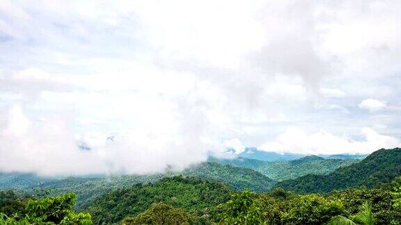 在山上的热带树木上移动云的景观视图延时视频