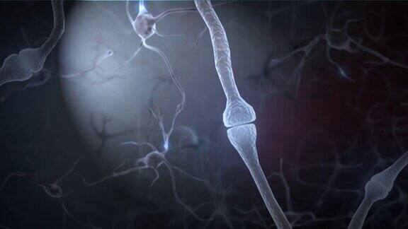大脑神经元活动