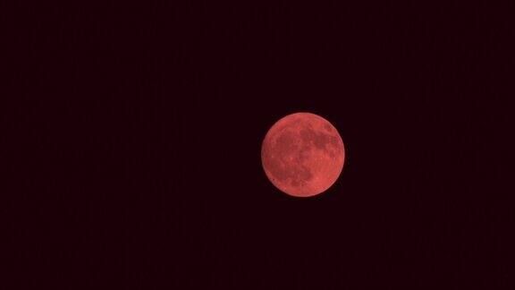放大了夜空中的红月亮