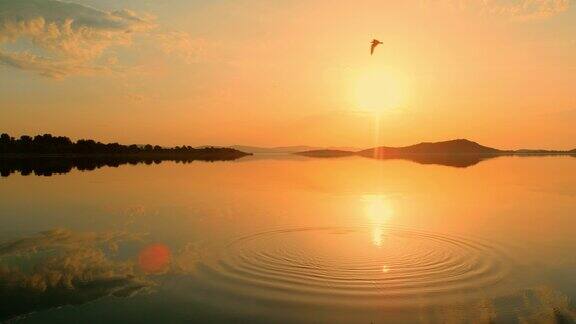 克罗地亚日落时分宁静的田园诗般的鸟群飞过平静的海面