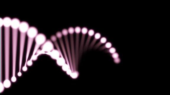 闪烁的DNA在黑色背景上的3D动画60fps主题在左边