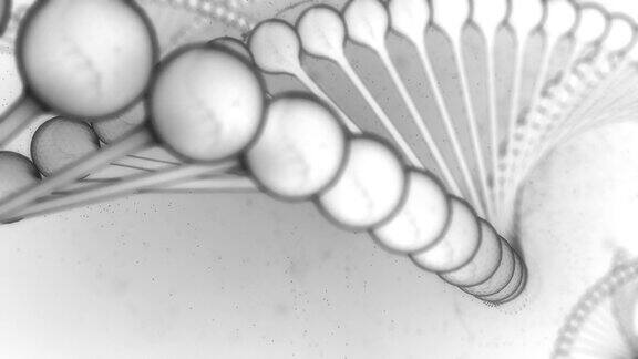 白色背景上的DNA串