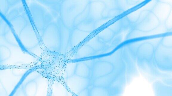白色背景下大脑中富有艺术感的蓝色神经元在运动