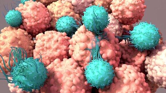 t细胞工作对抗癌症免疫治疗CAR-t细胞治疗3d渲染