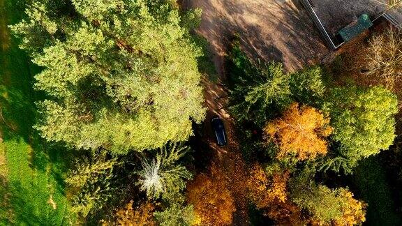 无人机俯视图黑色轿车慢慢驶过秋日美丽的黄色树林转向沥青路入口