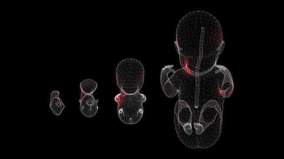 病毒通过人体胚胎体积体传播(黑色背景)病毒在体内的可视化演示教程视频医学概念60FPS3D动画