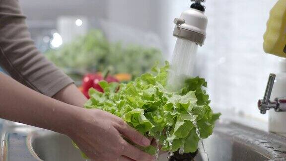 手洗蔬菜洗涤有机绿色沙拉