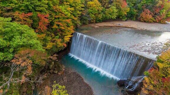 时光流逝:日本东北部岩手县八幡台市森野桥上的秋叶人造瀑布