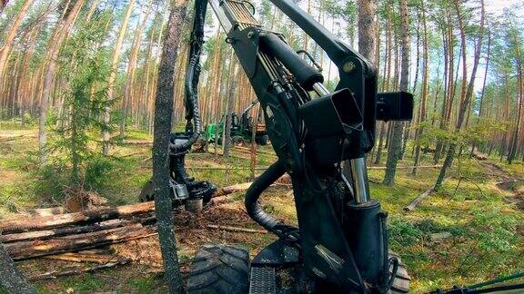 拖拉机在森林里工作时砍伐树木