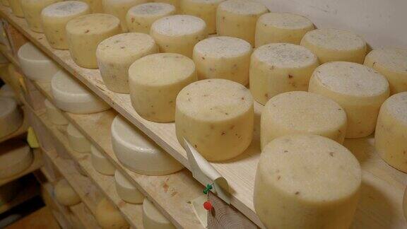 奶酪制作木质架子上成熟的奶酪