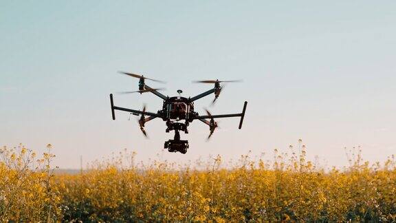 超级SLOMO无人机起飞在油菜田