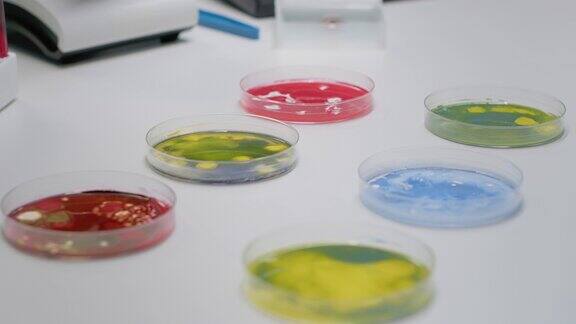 带有生物液体的实验室培养皿特写