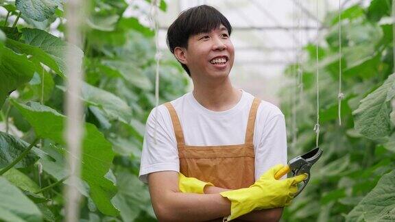 年轻的亚洲农民戴着塑料手套站在甜瓜农场的温室里交叉着手臂微笑拿着剪刀农业生鲜有机农场和城市栽培