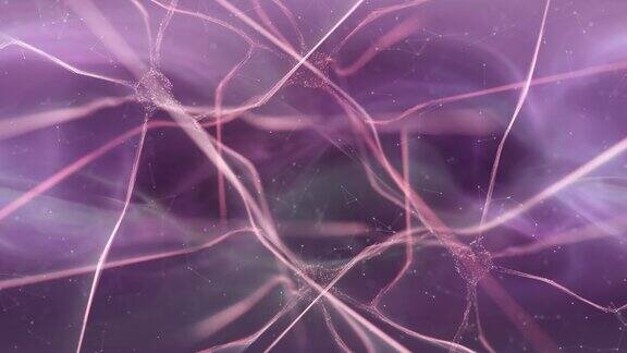 三维动画闪现神经元细胞在艺术大脑复制空间背景