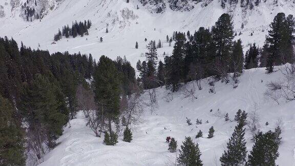 三个滑雪者穿过奥地利阿尔卑斯山的森林从山上下来