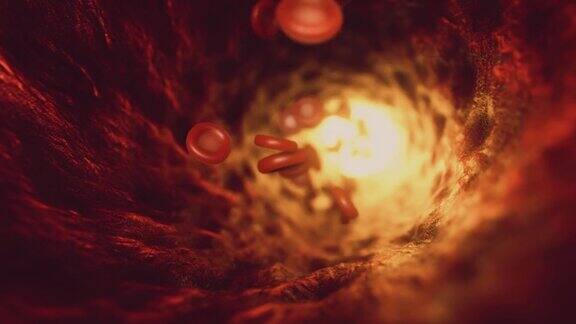红细胞在动脉血流中移动血红蛋白细胞通过血管的三维无缝循环动画