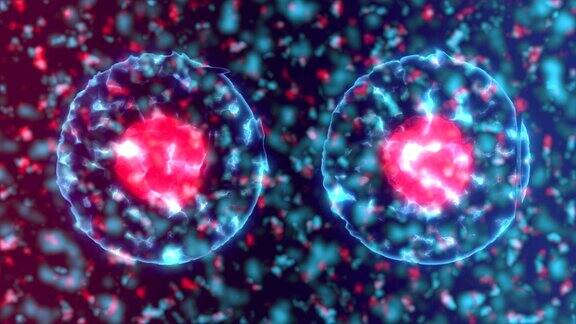 细胞或病毒分裂的动画60FPS