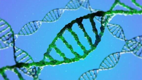 破碎的DNA结构