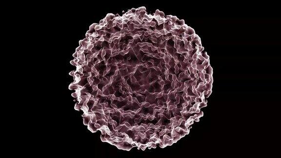 三维细胞模型在黑色背景上旋转是人体细胞的宏观视图医学生物学概念在黑色背景上分离出病毒60fps3D渲染