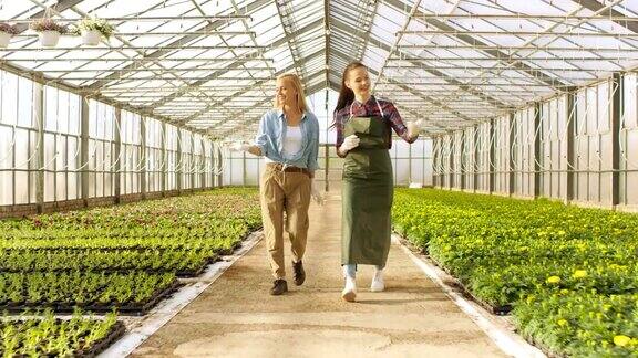 两名快乐的温室工人走过一排排五颜六色的鲜花和绿色蔬菜他们对自己种植的有机食品微笑并感到高兴