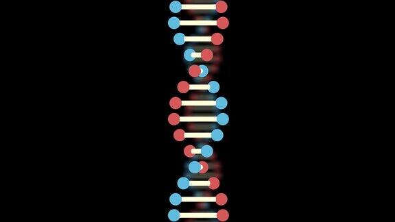 两个DNA在黑色背景上的2D动画重点是在前面背景模糊了卡车从右向左射击60fps